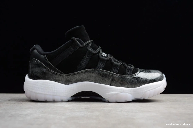 Low 11 Retro Air 